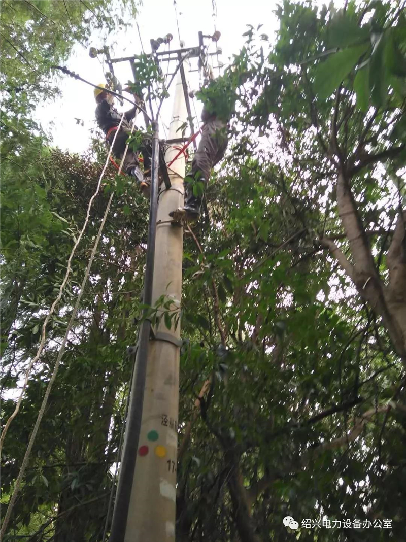 1593329873135339.jpg 2020010916223075.jpg